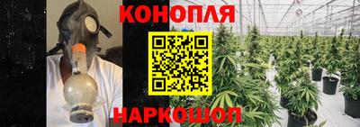 стафф Бузулук