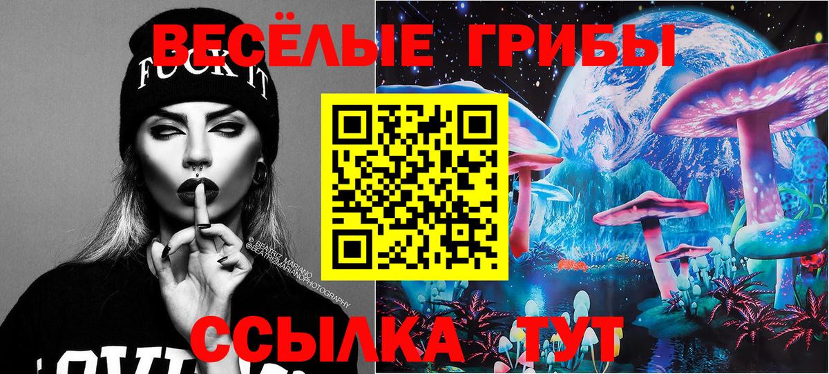 Галлюциногенные грибы GOLDEN TEACHER Щёкино